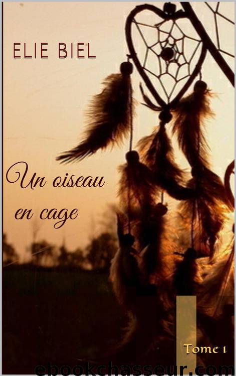 1 Un oiseau en cage by Elie Biel