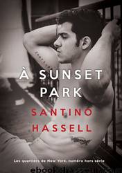 A Sunset Park by Santino Hassell