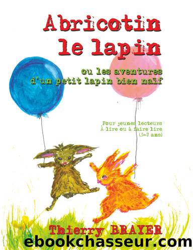 Abricotin le lapin by Thierry Brayer