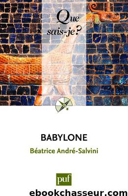 Babylone by Béatrice André-Salvini