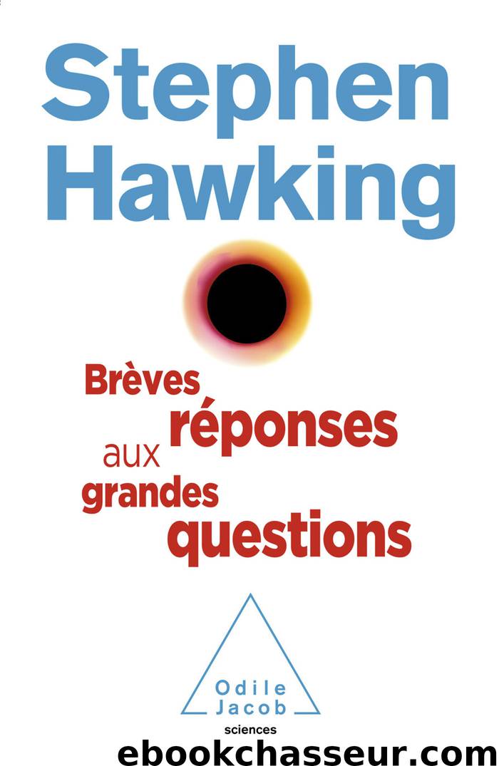 Brèves réponses aux grandes questions by Stephen Hawking