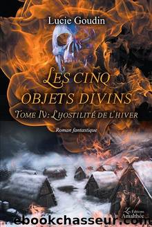 CINQ OBJETS DIVINS 04 L'hostilite de l hiver by Goudin Lucie