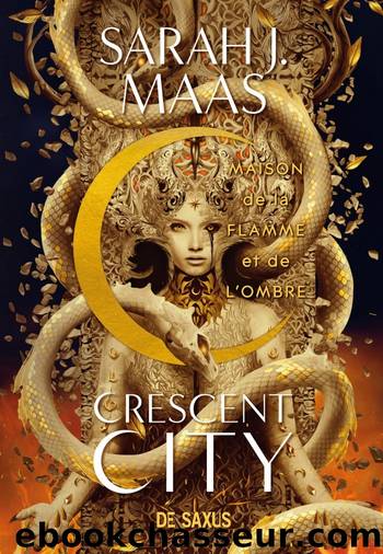 Crescent City - T3 - Maison de la Flamme et de l'Ombre by Sarah J. Maas