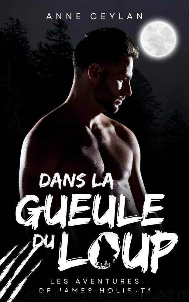 Dans la gueule du loup (French Edition) by Anne Ceylan