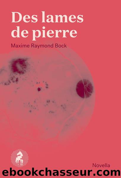 Des lames de pierre by Maxime Raymond Bock