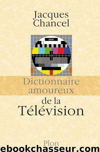 Dictionnaire amoureux de la Télévision by Jacques Chancel