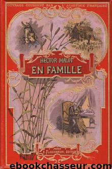 En famille by Hector Malot