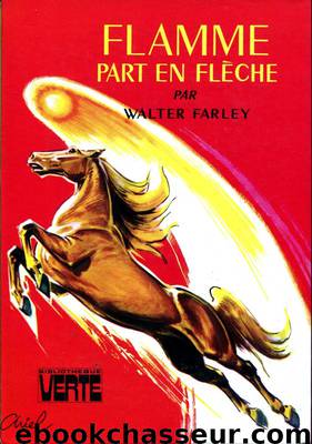 Flamme part en flèche by Farley Walter