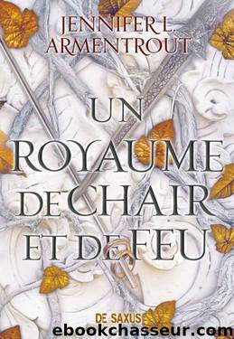 From blood and ash - T2 - Un royaume de chair et de feu by Jennifer L. Armentrout