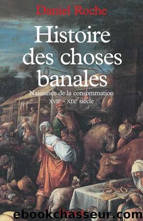 Histoire des choses banales - Naissance de la consommation (XVIIe-XIXe siècle) by Roche Daniel