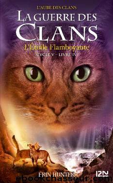 L'Etoile flamboyante, Cycle V, tome 4 by Erin Hunter