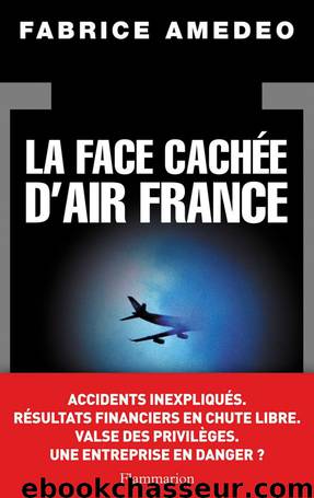 La Face cachée d'Air France by Amedeo Fabrice