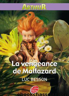 La Vengeance de Maltazard by Luc Besson