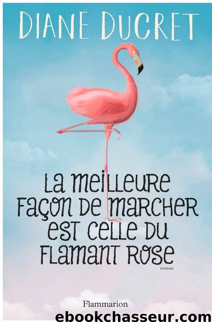 La meilleure façon de marcher est celle du flamant rose by Diane Ducret