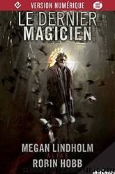 Le Dernier magicien by Robin Hobb