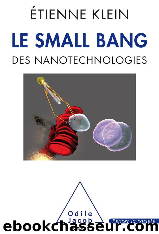 Le Small Bang des nanotechnologies by Étienne Klein