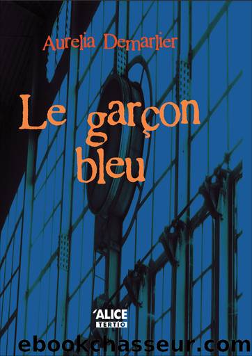 Le garÃ§on bleu by Demarlier