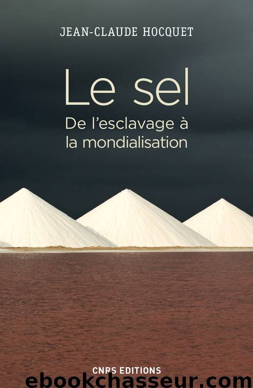 Le sel. De l'esclavage à la mondialisation by Jean claude Hocquet