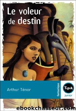 Le voleur de destin by Ténor Arthur