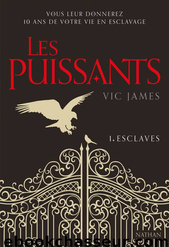 Les Puissants – Tome 1 – ESCLAVES by James Vic