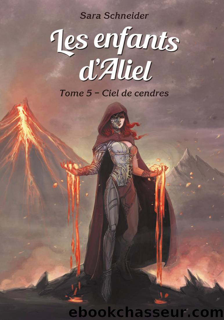 Les enfants d'Aliel, tome 5 - Ciel de cendres by Sara Schneider