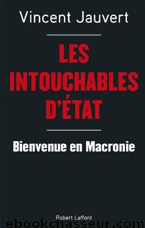 Les intouchables d'état : Bienvenue en Macronie by Vincent Jauvert