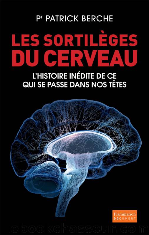 Les sortilÃ¨ges du cerveau by Patrick Berche