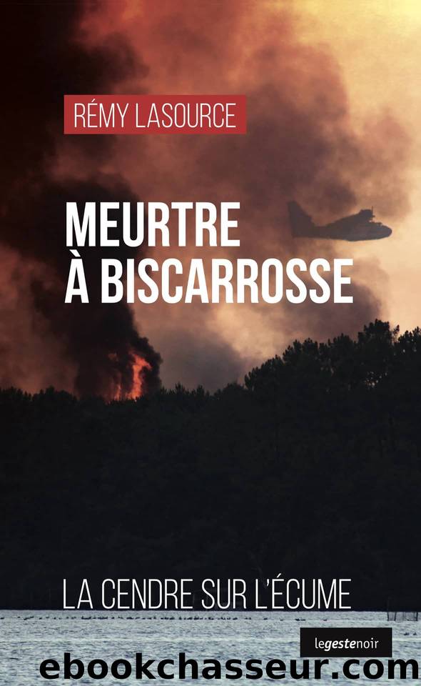 Meurtre Ã  Biscarrosse: La cendre sur l'Ã©cume by Rémy Lasource