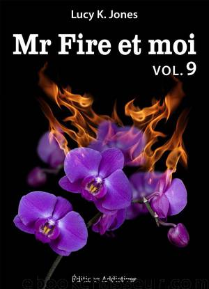 Mr Fire et moi - volume 9 by Lucy K. Jones