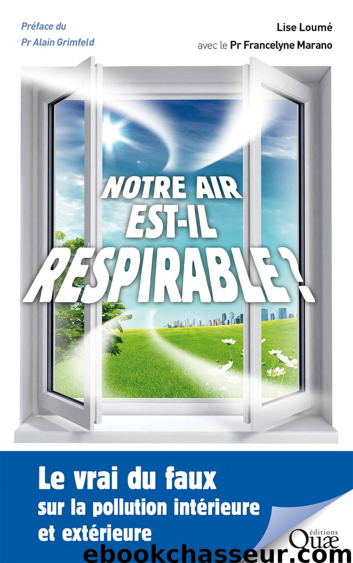 Notre air est-il respirable ? - Le vrai du faux sur la pollution intérieure et extérieure by Lise Loumé Francelyne Marano