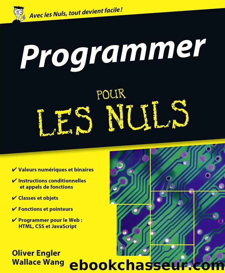 Programmer Pour les Nuls by Wallace WANG