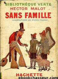 Sans famille by Hector Malot