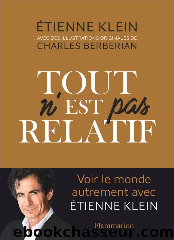 Tout n'est Pas Relatif by Étienne Klein et Charles Berberian