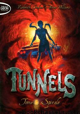 Tunnels 5 Spirales by Roderick Gordon - Brian Williams