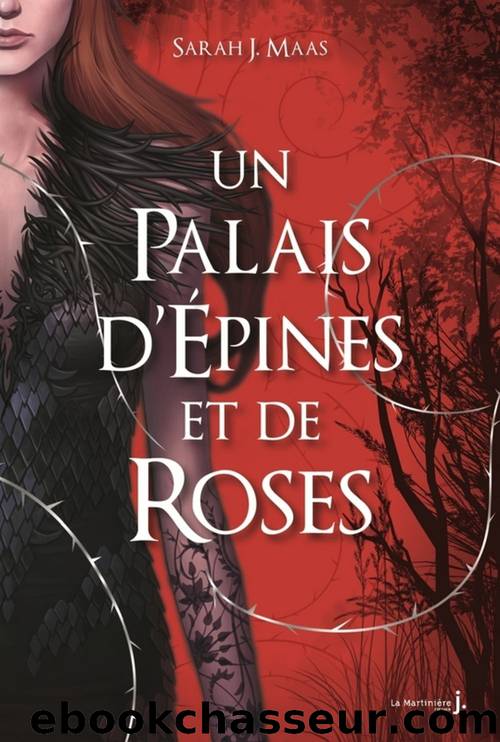 Un Palais d'Ã©pines et de roses by Maas Sarah J