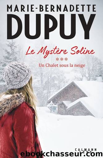 Un chalet sous la neige by Dupuy Marie-Bernadette