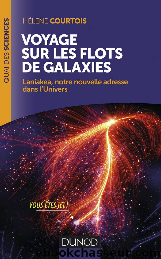 Voyage sur les flots de galaxies by Hélène Courtois