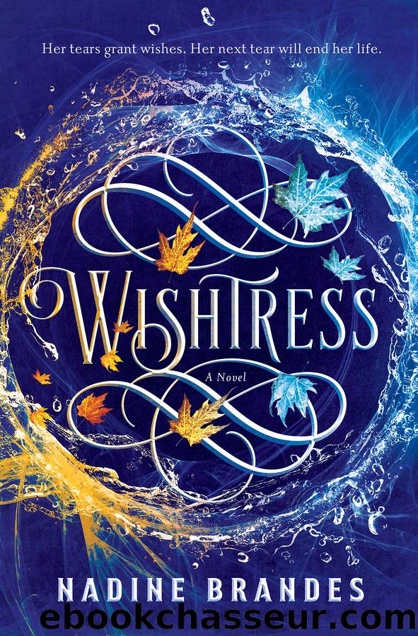 Wishtress by Nadine Brandes