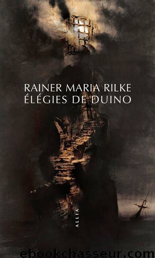 élégies de Duino by Rainer Maria Rilke