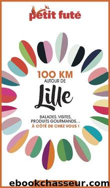 100 KM AUTOUR DE LILLE 2020 Petit Futé (French Edition) by Dominique Auzias & Jean-Paul Labourdette