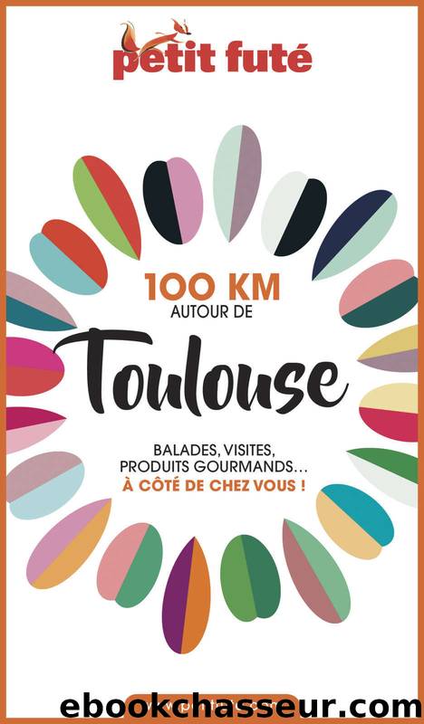 100 KM AUTOUR DE TOULOUSE 2020 Petit Futé (French Edition) by Auzias Dominique & Labourdette Jean-Paul