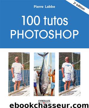100 tutos Photoshop (French Edition) by Pierre Labbe