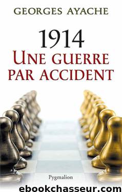 1914 - Une guerre par accident by Georges Ayache