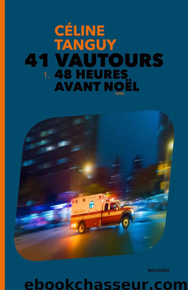 41 Vautours – 1. 48 Heures avant Noël (French Edition) by Céline Tanguy
