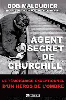 Agent secret de Churchill by Bob Maloubier