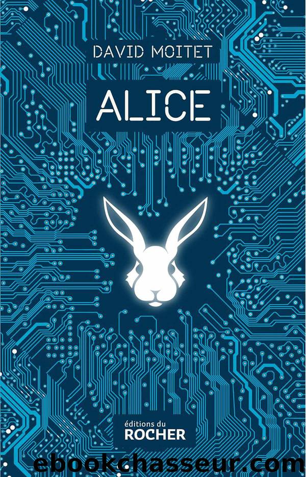 Alice by David Moitet