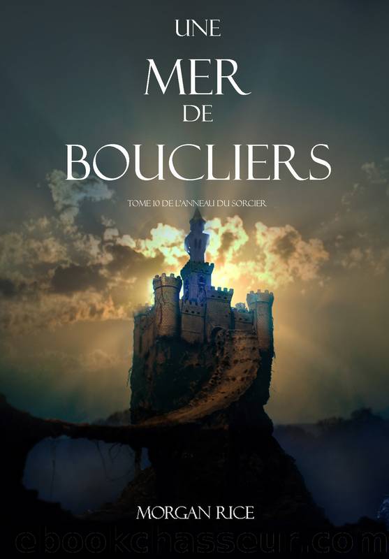 Anneau du Sorcier - 10 - Une Mer de Boucliers by Rice Morgan