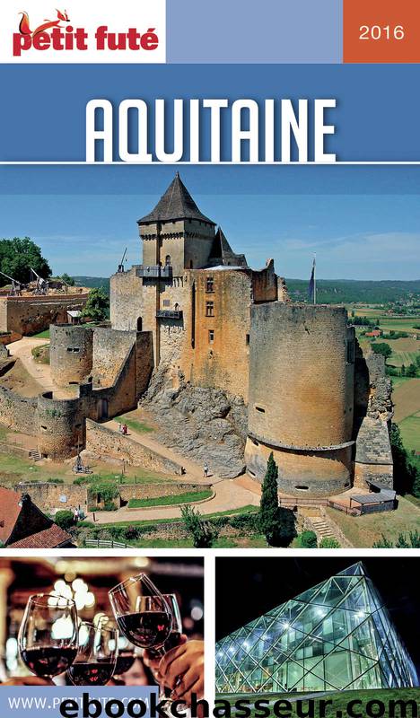 Aquitaine 2016 Petit Futé (avec cartes, photos + avis des lecteurs) by Collectif