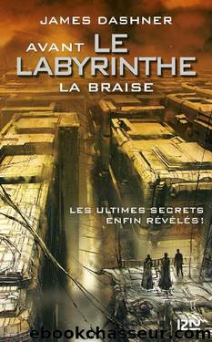 Avant Le labyrinthe - tome 5 : La Braise (French Edition) by James DASHNER