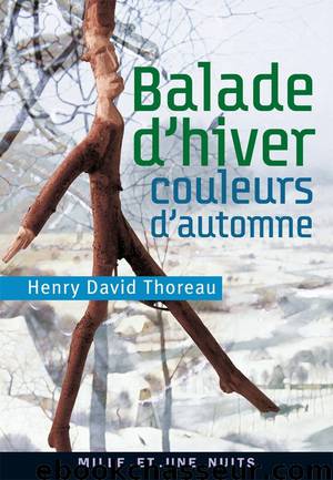 Balade d'hiver, couleurs d'automne by Henry David Thoreau